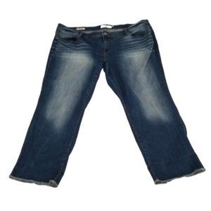 Torrid Style Boyfriend Jeans Size 24